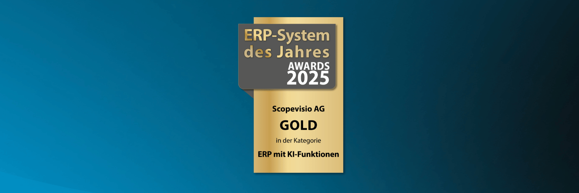 ERP System des Jahres 2025